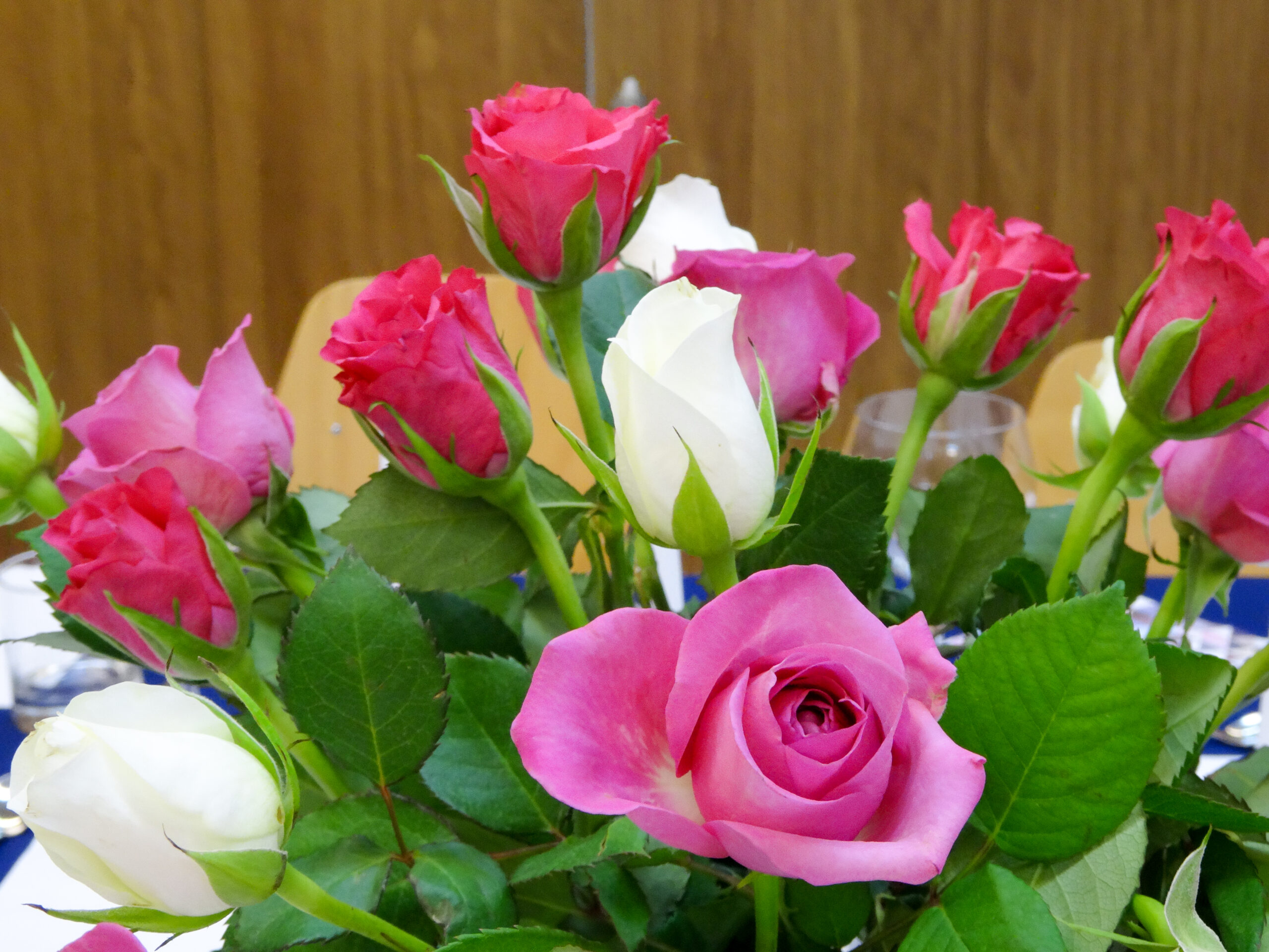 2019-11-06 18-43-42_Bild 0066